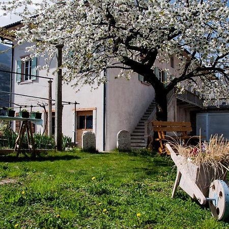 B&B La Fosina Mezzolombardo Exterior foto